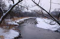 		Hartland WI. Bark River. 2012.