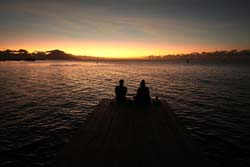 			6. Too lovely not to include