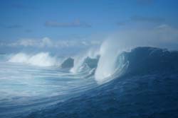 		1. the surfer's office